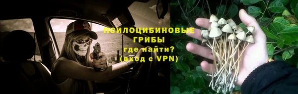 jwh Козельск