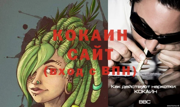 ПСИЛОЦИБИНОВЫЕ ГРИБЫ Кодинск