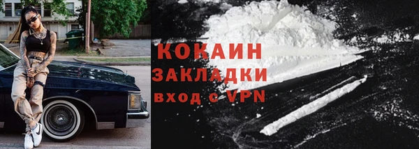 шишки Карпинск