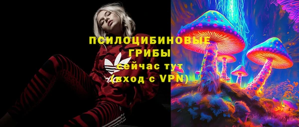 ПСИЛОЦИБИНОВЫЕ ГРИБЫ Кодинск