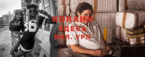 гидра Кинешма