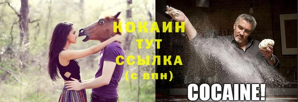 ПСИЛОЦИБИНОВЫЕ ГРИБЫ Кодинск