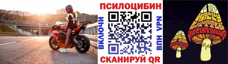 Псилоцибиновые грибы Psilocybe  ОМГ ОМГ вход  Коркино  дарнет шоп 