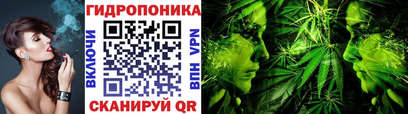 mega ссылка  Коркино  Бошки марихуана семена 